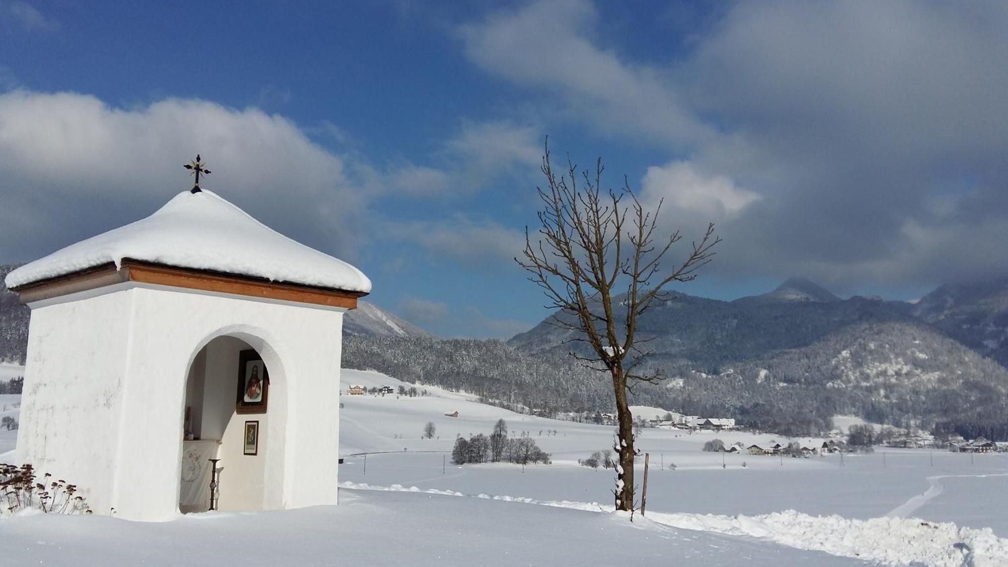 Villa Weinbachbauer - Urlaub Am Bauernhof à Saint Wolfgang Extérieur photo