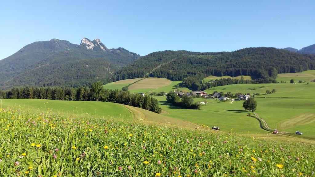 Villa Weinbachbauer - Urlaub Am Bauernhof à Saint Wolfgang Extérieur photo